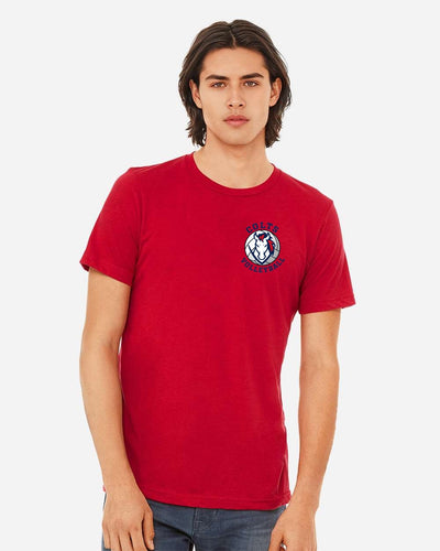 CV Volleyball Premium Red Tee Colt Head